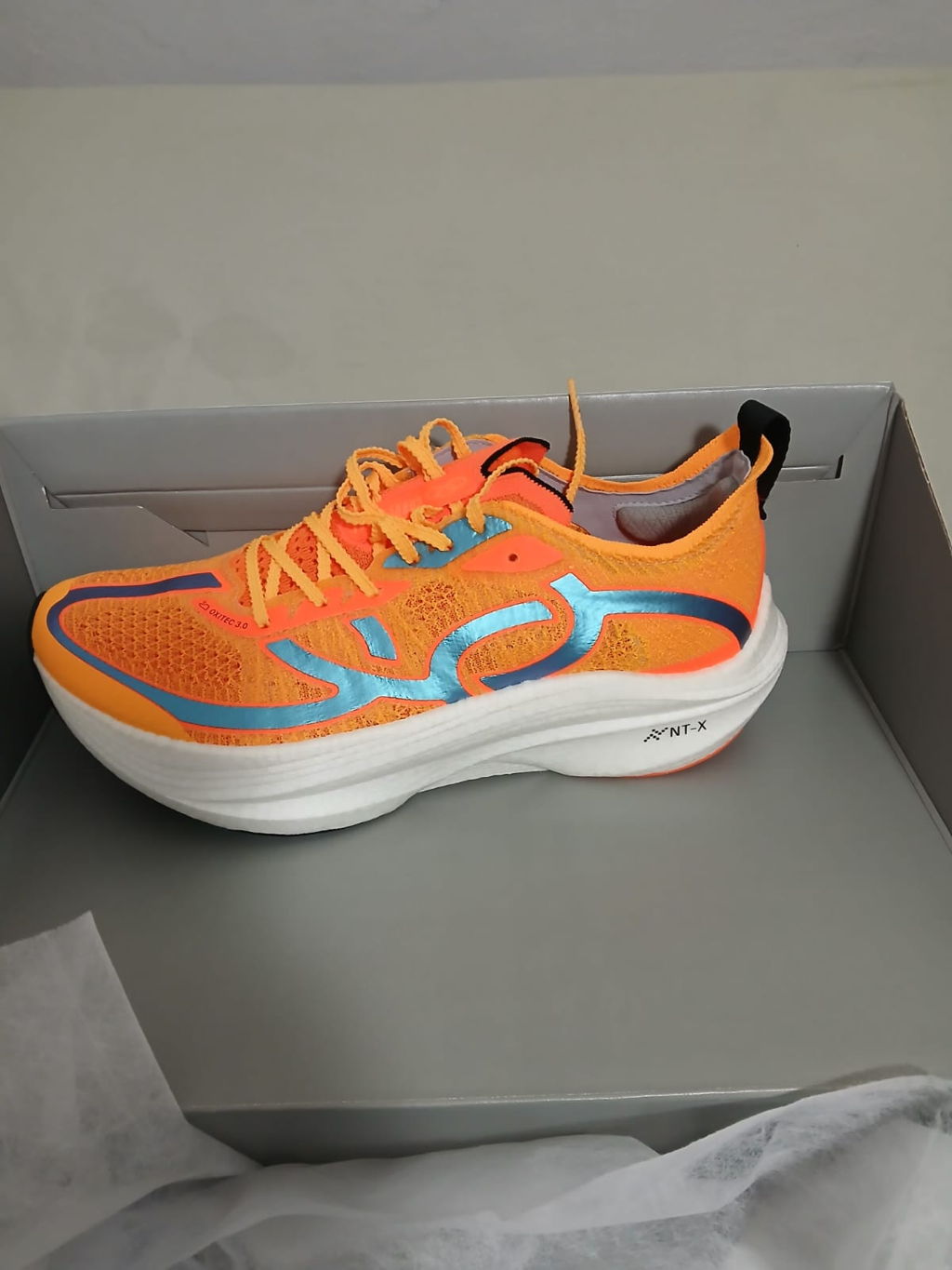 Netshoes