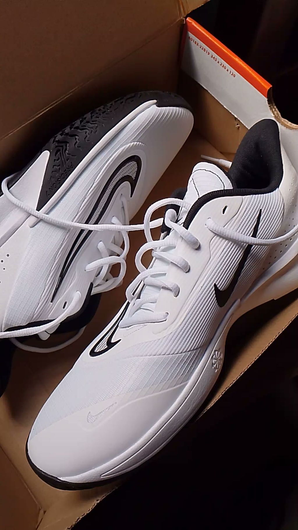 Nike 支給 Netshoes